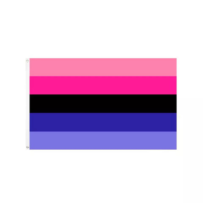 Digital Printing Rainbow LGBT Flag 3x5Ft 100D Polyester Progress Flag