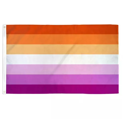 Digital Printing Rainbow LGBT Flag 3x5Ft 100D Polyester Progress Flag